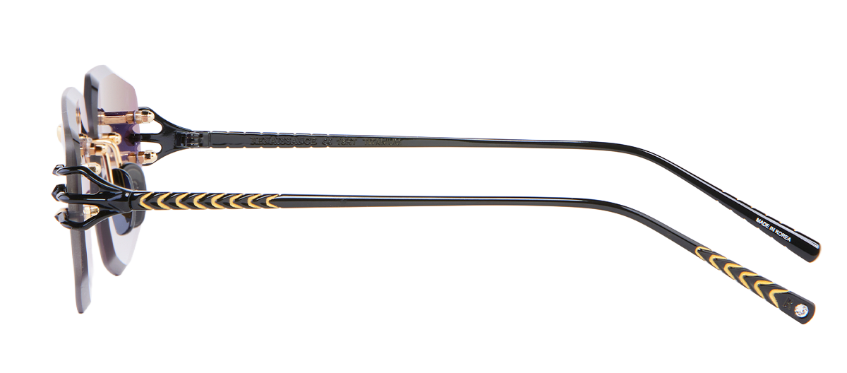 Renaissance XXXXIV C5